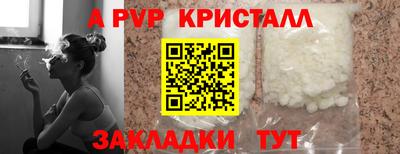 прущие крисы Шебекино